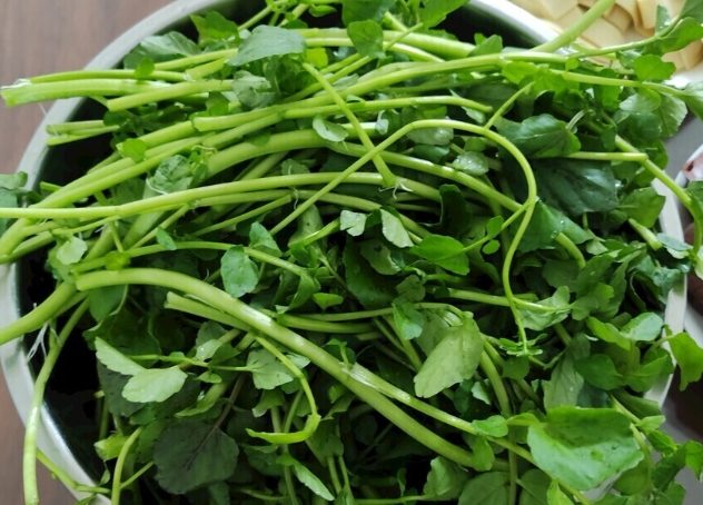 西洋菜食譜 西洋菜食譜