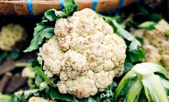 白花椰菜變色