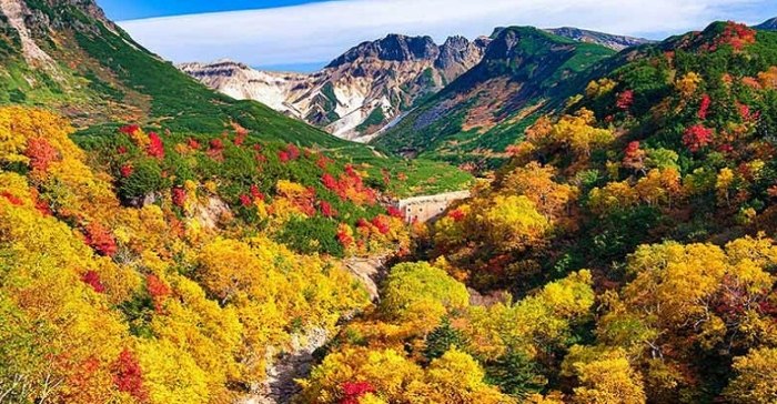 北海道紅葉見頃