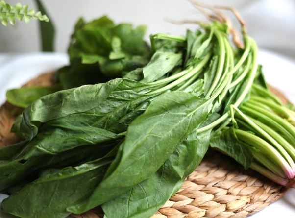 白木耳飲食禁忌 白木耳飲食禁忌