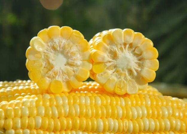 玉米鉀含量 玉米鉀含量