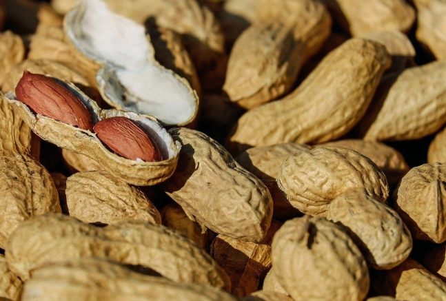 鉀攝取量 鉀攝取量