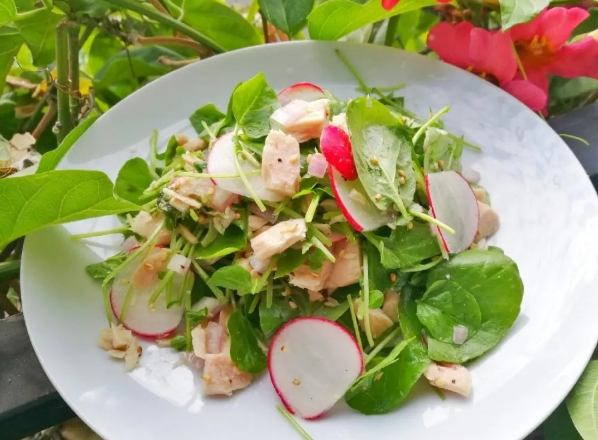 西洋菜食譜 西洋菜食譜