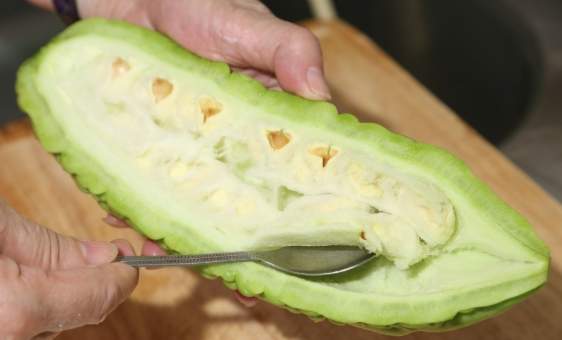 苦瓜食譜 苦瓜食譜