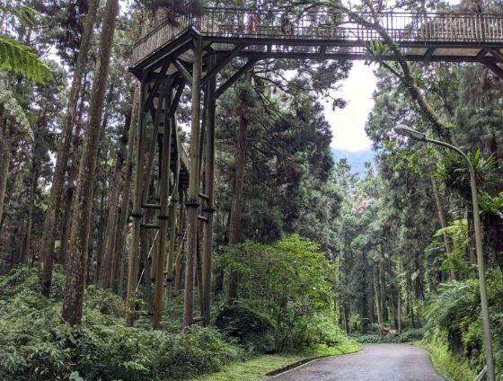 南投小溪頭旅遊 南投小溪頭旅遊