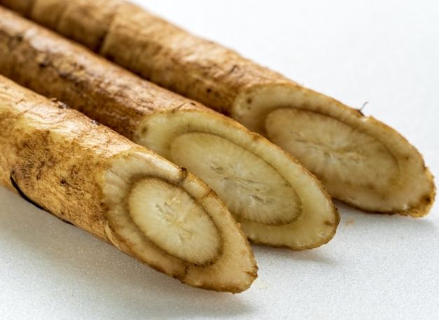 牛蒡食用注意事項 牛蒡食用注意事項