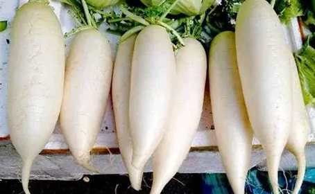 食物相剋健康 食物相剋健康