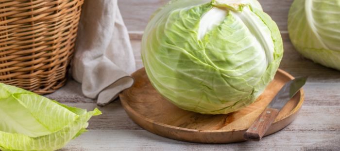 冷凍高麗菜方法 冷凍高麗菜方法