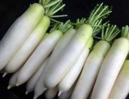 白蘿蔔食物相剋 白蘿蔔食物相剋