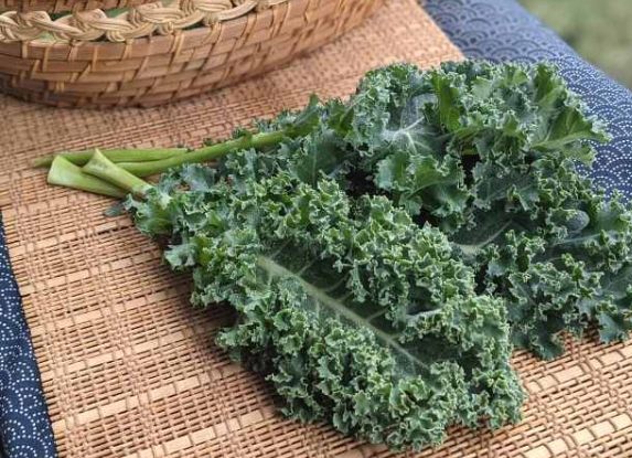 抗凝血劑禁忌食物 抗凝血劑禁忌食物