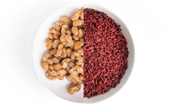 納豆紅麴可以跟魚油一起吃嗎