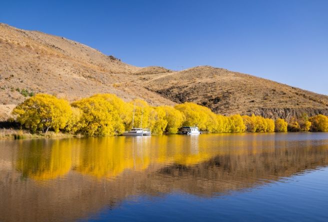紐西蘭季節旅遊 紐西蘭季節旅遊