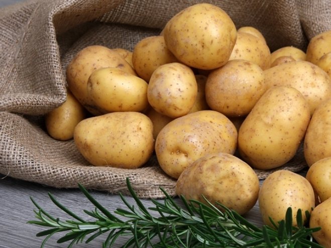 馬鈴薯營養 馬鈴薯營養