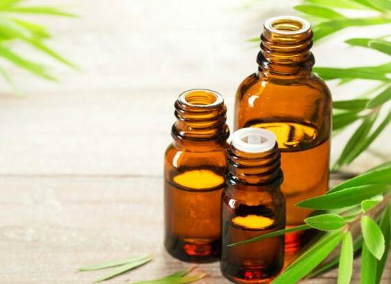 茶樹精油薰香方法 茶樹精油薰香方法