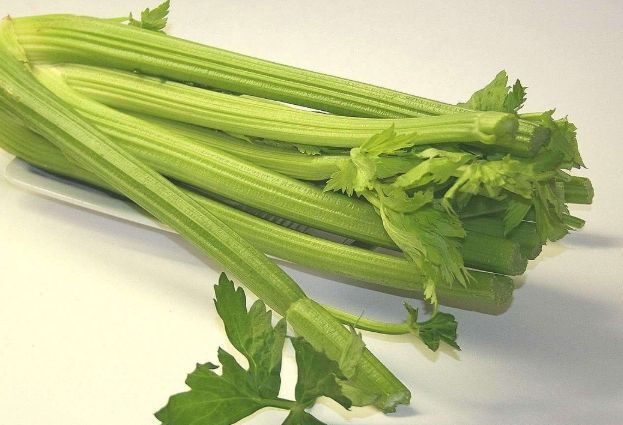 芹菜食用禁忌 芹菜食用禁忌
