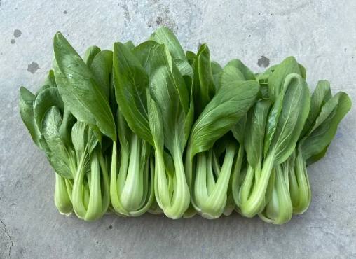 青江菜冷凍方法 青江菜冷凍方法