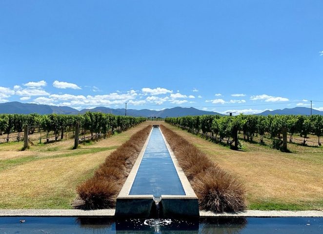 紐西蘭酒莊體驗