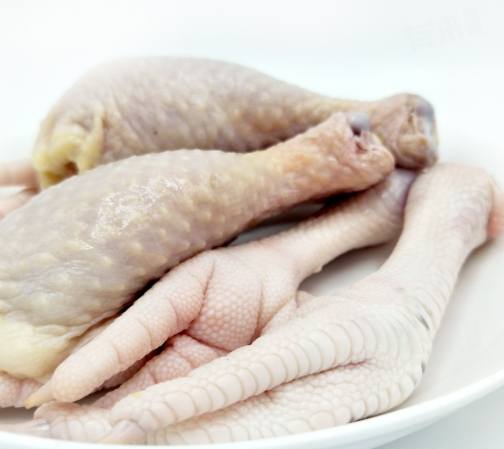 白斬雞雞種選擇