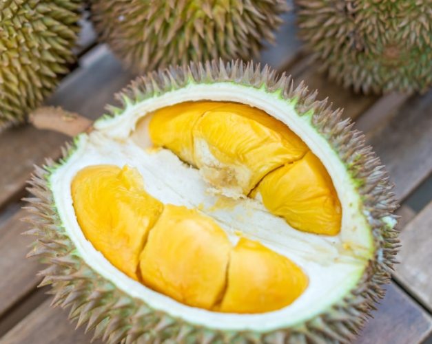 孕婦飲食榴槤 孕婦飲食榴槤