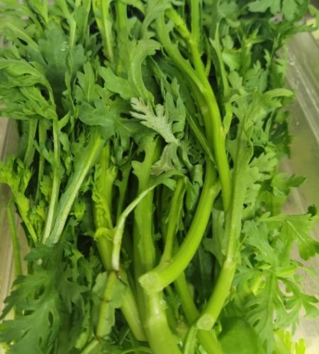 皇帝菜完整指南：從營養價值到種植食譜，解決所有疑惑