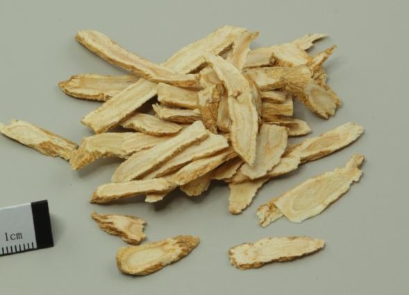 西洋蔘副作用 西洋蔘副作用