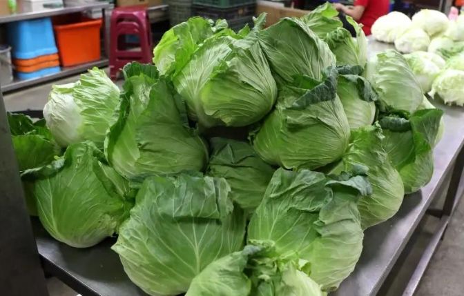 冷凍高麗菜方法 冷凍高麗菜方法