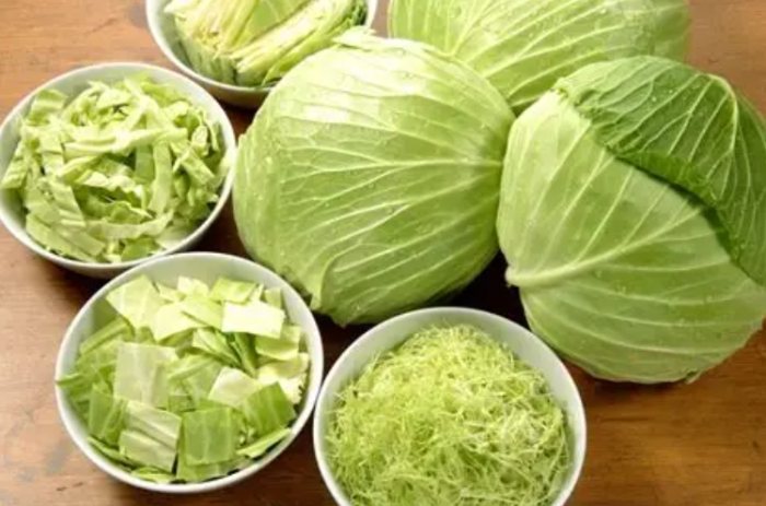 高麗菜冷凍保存 高麗菜冷凍保存