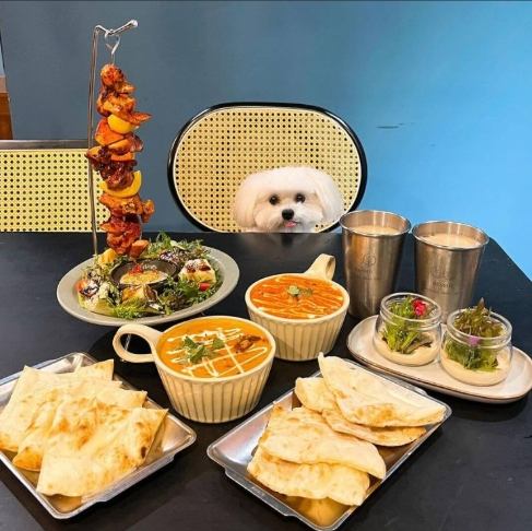 寵物友善餐廳中和 寵物友善餐廳中和