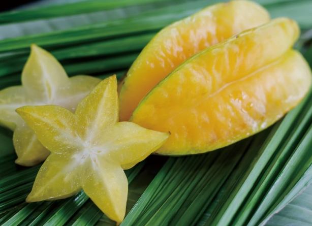 楊桃毒素預防 楊桃毒素預防