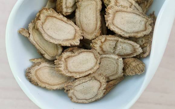 西洋蔘副作用 西洋蔘副作用