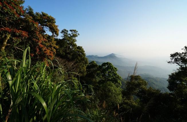 大凍山登山路線 大凍山登山路線