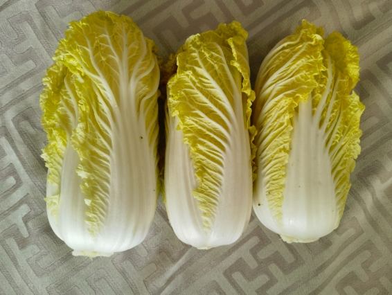 娃娃菜冷凍 娃娃菜冷凍