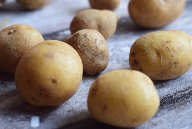 馬鈴薯營養 馬鈴薯營養