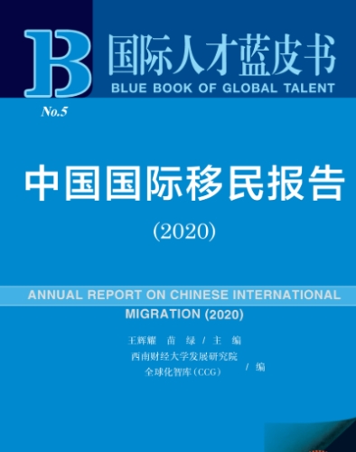 世界移民報告深度解析：掌握全球趨勢與實用指南