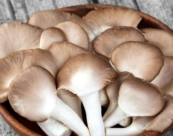 秀珍菇新鮮度判斷 秀珍菇新鮮度判斷