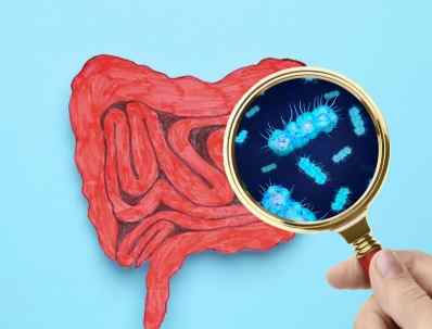 益生菌推薦 益生菌推薦