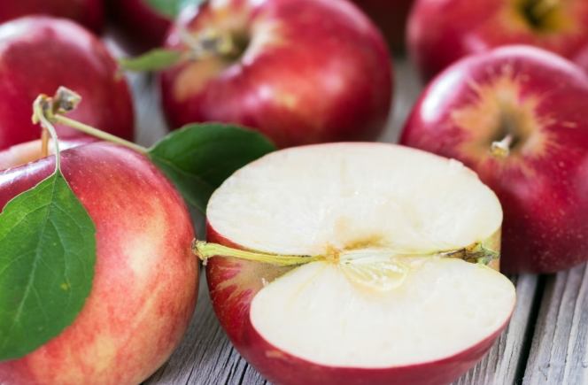 腎臟病飲食管理