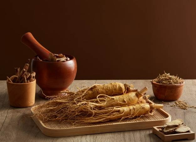 人蔘最佳食用時間 人蔘最佳食用時間