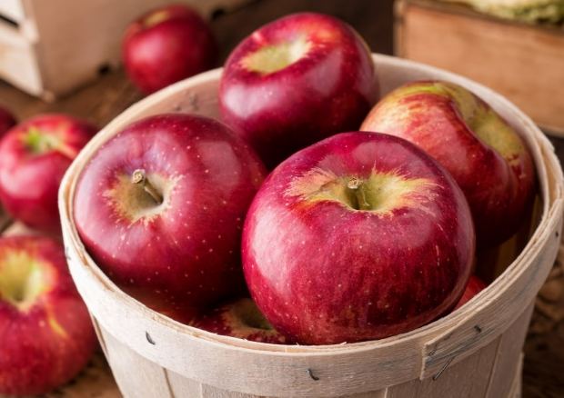 減脂水果 減脂水果