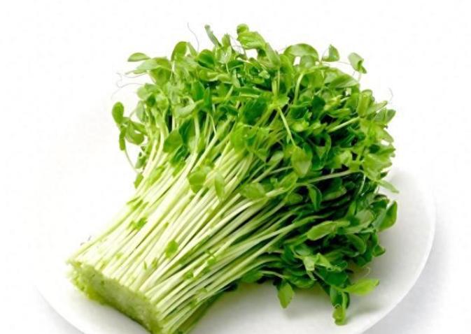 如何清洗豌豆苗