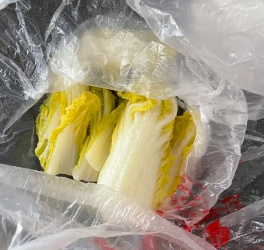 娃娃菜冷凍 娃娃菜冷凍