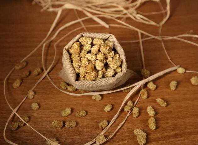 白桑子乾使用方法 白桑子乾使用方法