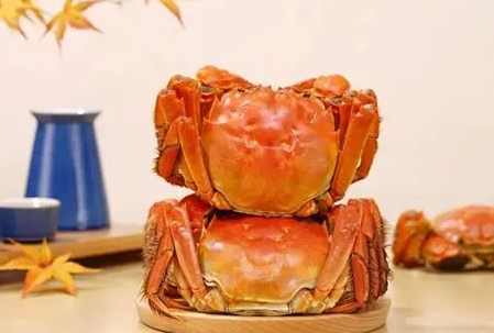 誰不能吃螃蟹 誰不能吃螃蟹
