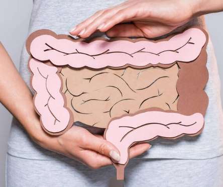 糞便檢查飲食 糞便檢查飲食