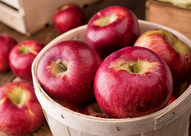 蘋果與藥物相互作用 蘋果與藥物相互作用