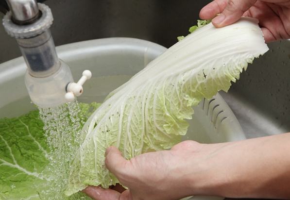 大白菜清洗方法 大白菜清洗方法