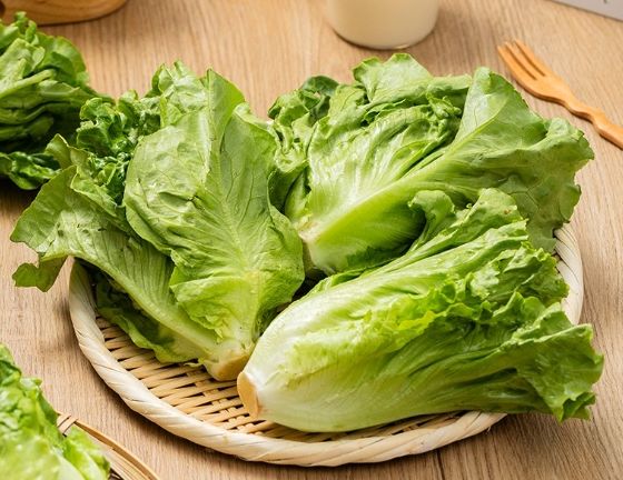 唐生菜生食 唐生菜生食