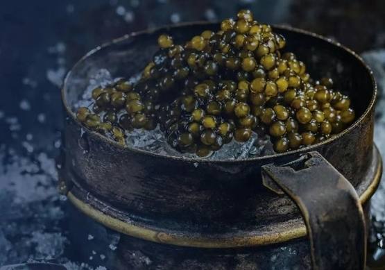 魚子醬選擇 魚子醬選擇