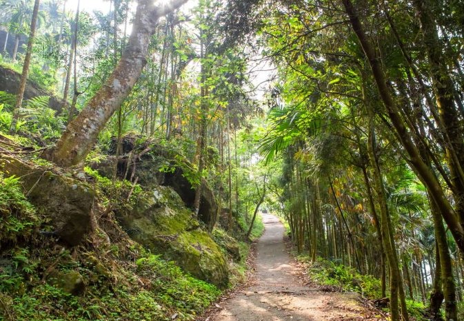 關子嶺登山步道 關子嶺登山步道