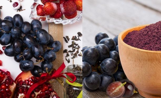 白藜蘆醇每日攝取量